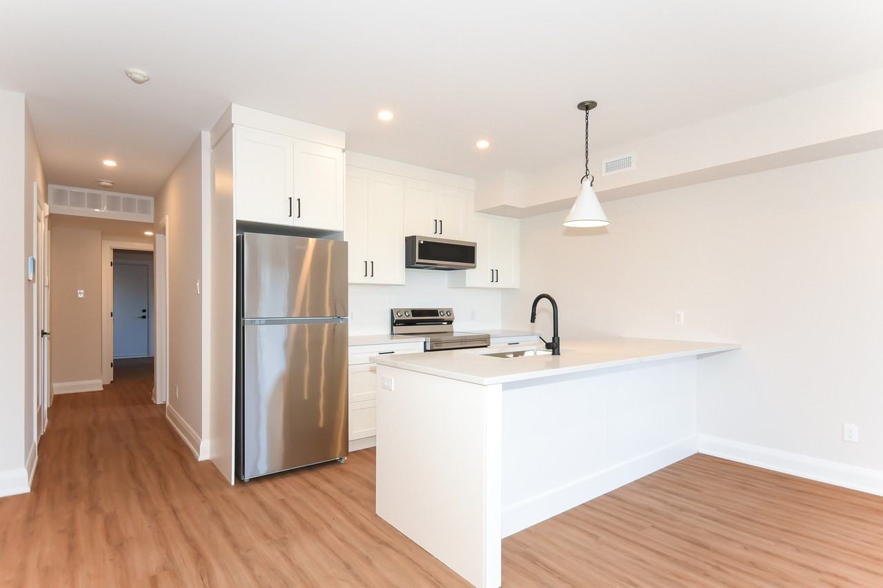 7 Monk Street #7 - Photo 5 of 28