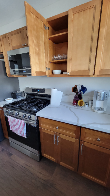 509 Rose Ave - Photo 5 of 14