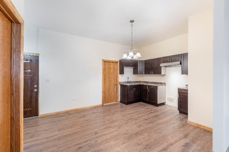 1836 S Blue Island Ave #1 - Photo 3 of 16