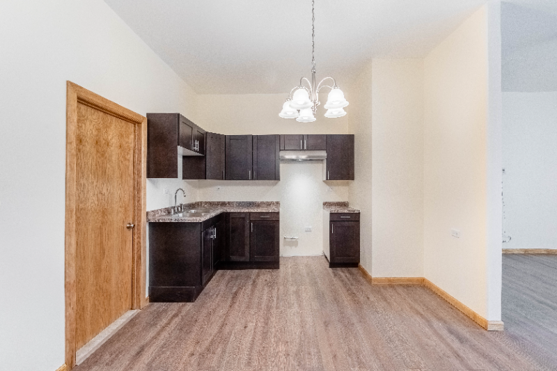 1836 S Blue Island Ave #1 - Photo 4 of 16