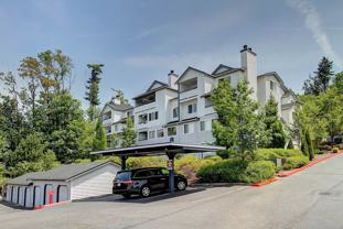 Castle Creek - Photo 1 of 1