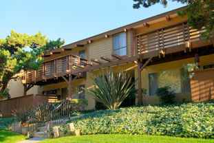 Village Green - Photo 1 of 1