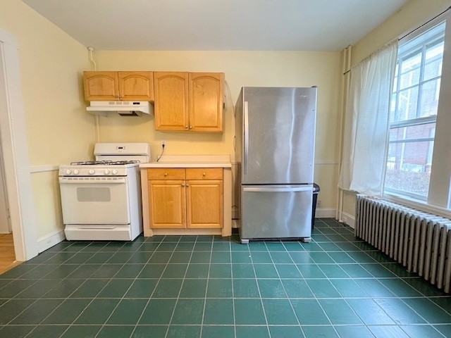 20 Leicester St #2 - Photo 5 of 16