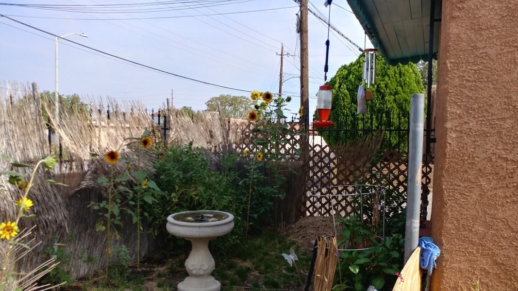 1506 Edith Blvd Ne #NA - Photo 3 of 18