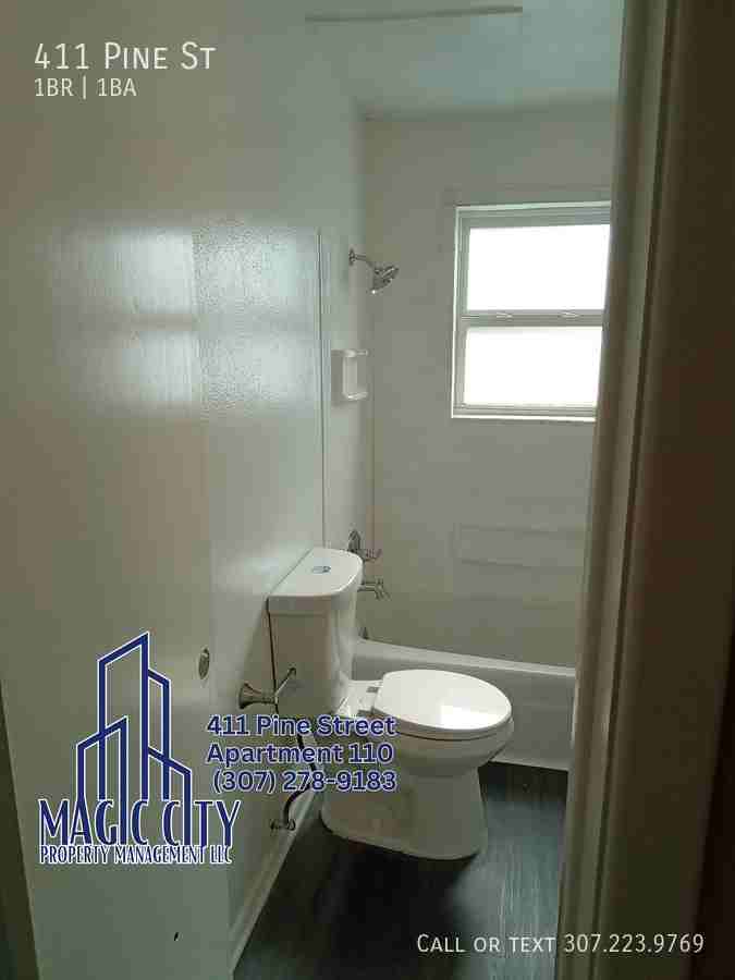 411 Pine St - Photo 2 of 15