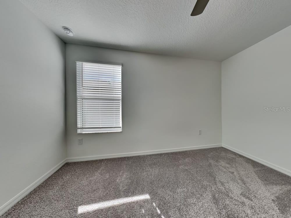 11659 Lavender Loop Spring Hill #11659 - Photo 3 of 15