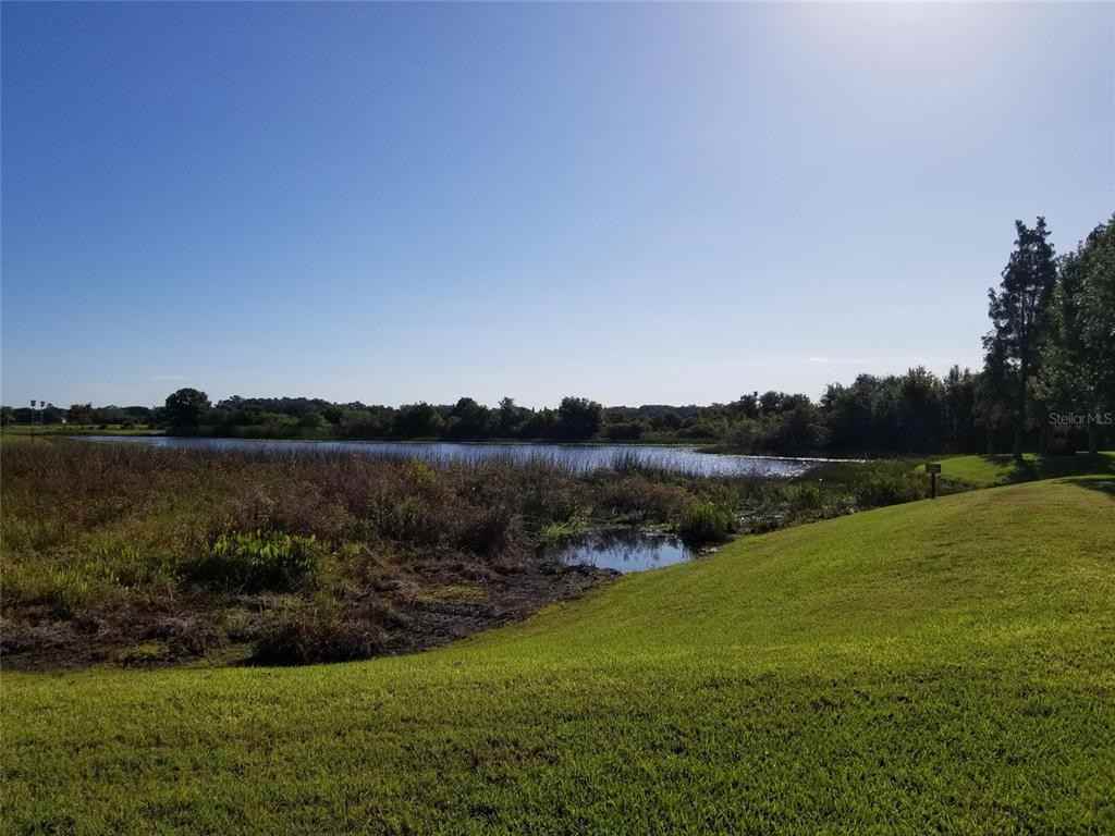 4536 Kennewick Pl #4536 - Photo 6 of 50