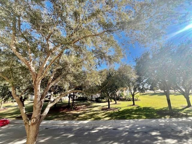 7505 Mourning Dove Cir #7505-204 - Photo 6 of 24