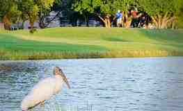 12755 Sw 16th Ct - Photo 1 of 1