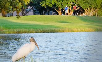 12755 Sw 16th Ct - Photo 1 of 1