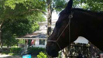 featured image of 331 Glenwood Dr