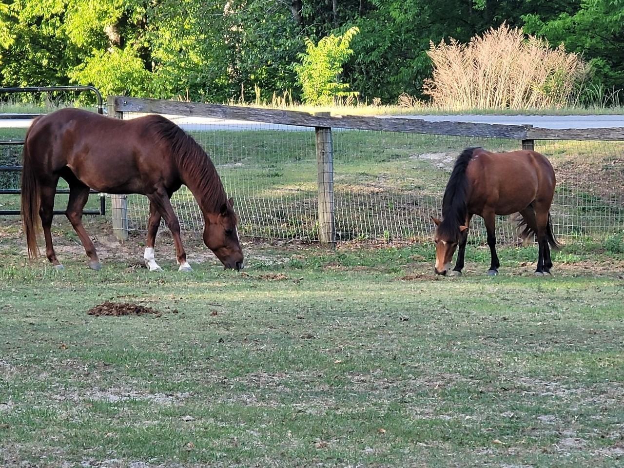 331 Glenwood Dr - Photo 4 of 28