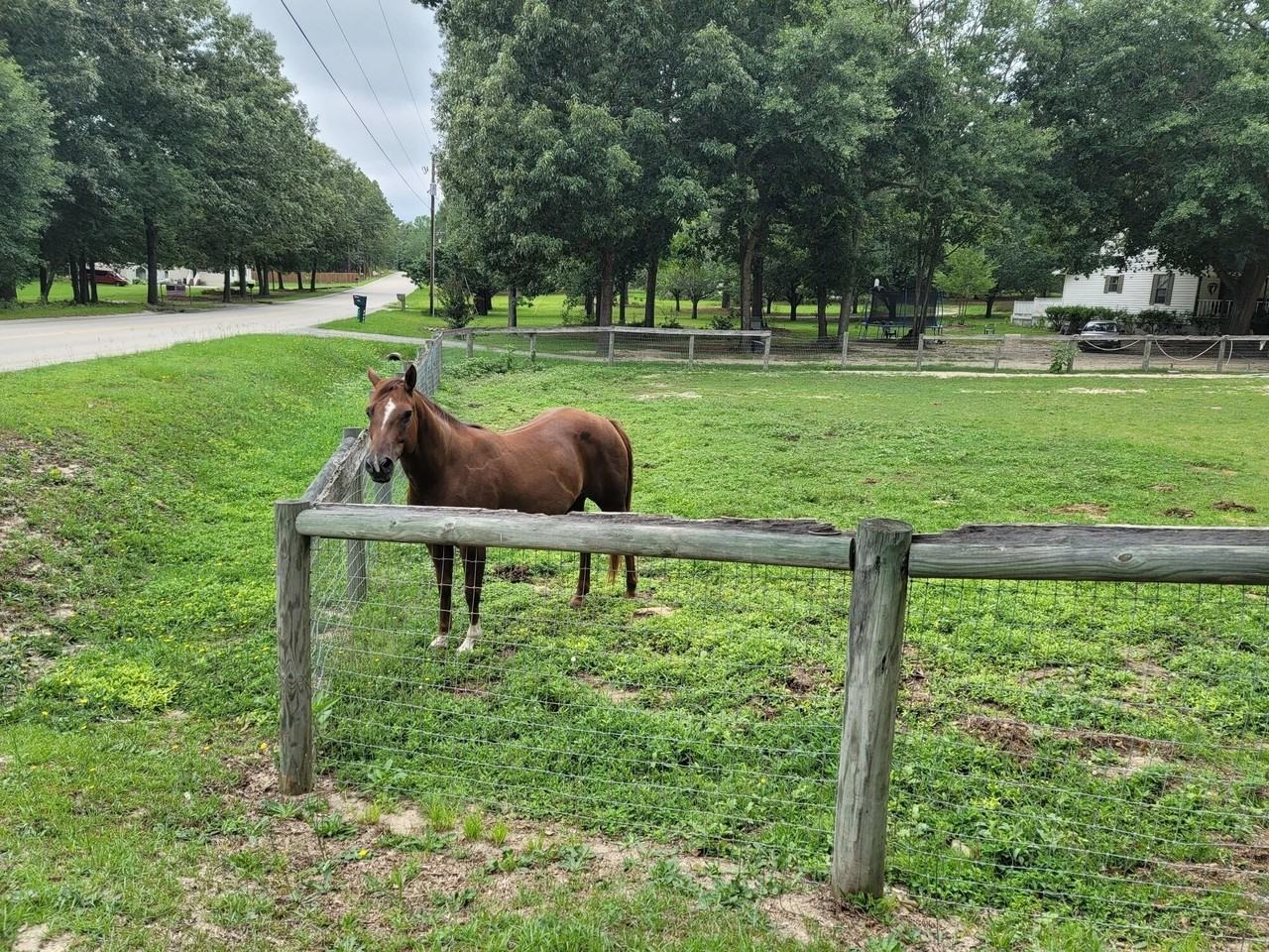 331 Glenwood Dr - Photo 5 of 28