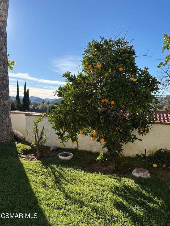 28649 Acacia Glen St - Photo 7 of 8