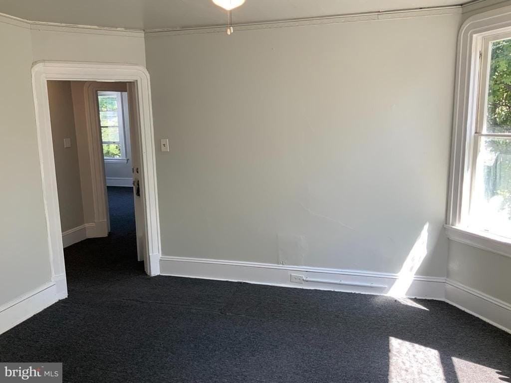 433 Bentley Ave #B - Photo 5 of 14