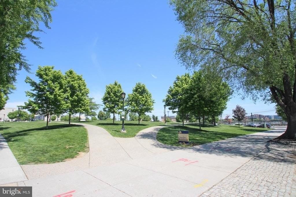 3202 Powelton Ave #1 - Photo 5 of 17