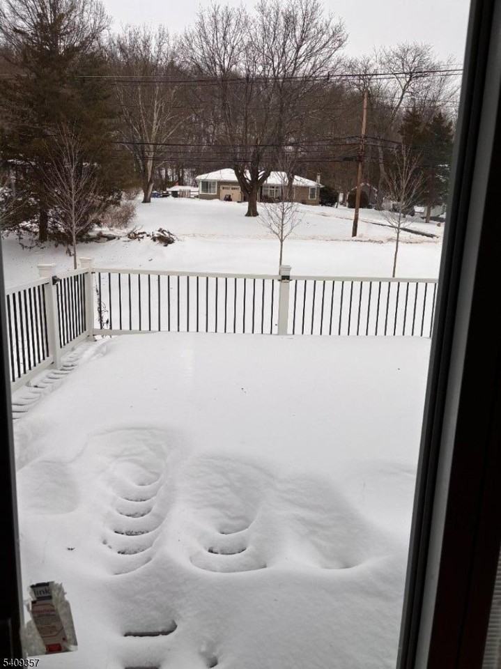 Washington Valley Rd - Photo 5 of 13