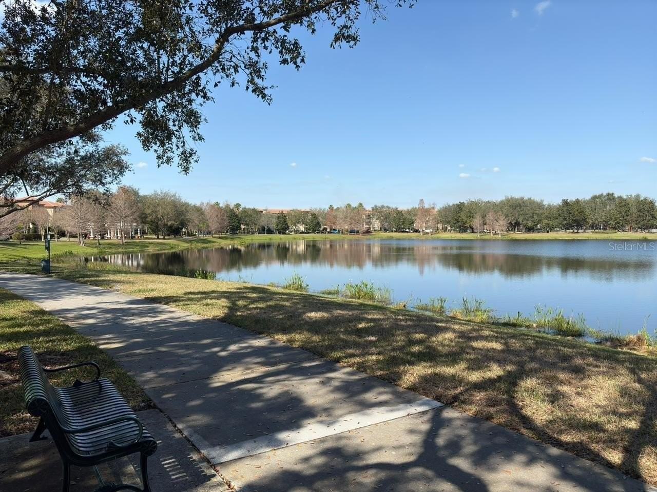 8259 Maritime Flag St #6 - Photo 4 of 15