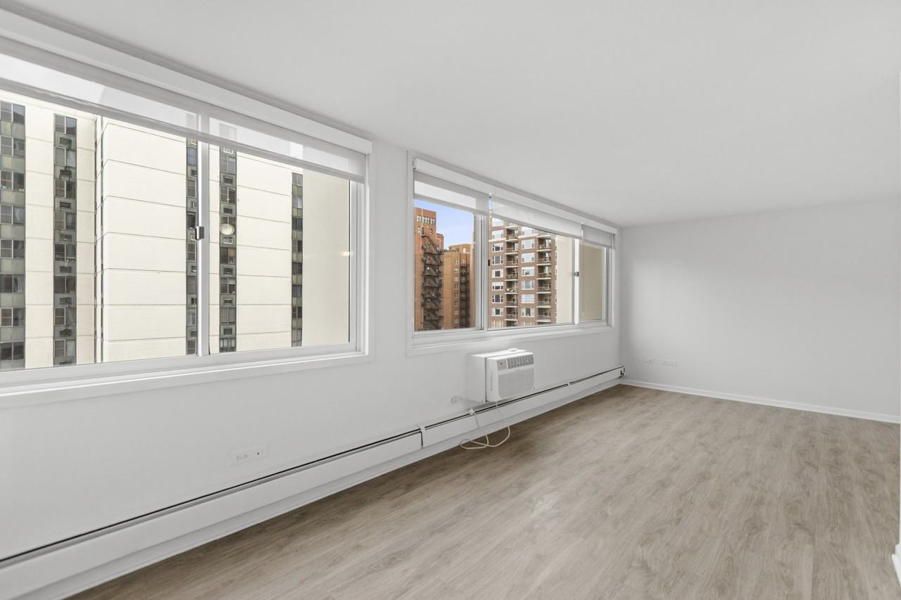 1344 N Dearborn St #14C - Photo 3 of 12