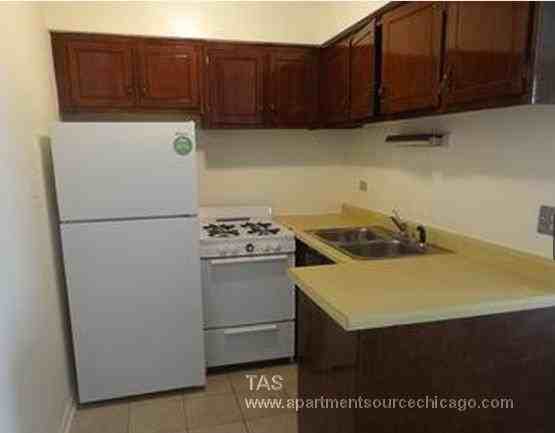 4267 W Addison St #3 - Photo 3 of 10