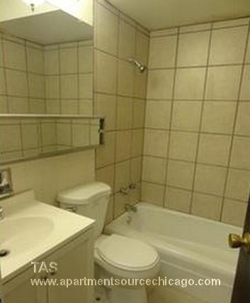 4267 W Addison St #3 - Photo 5 of 10