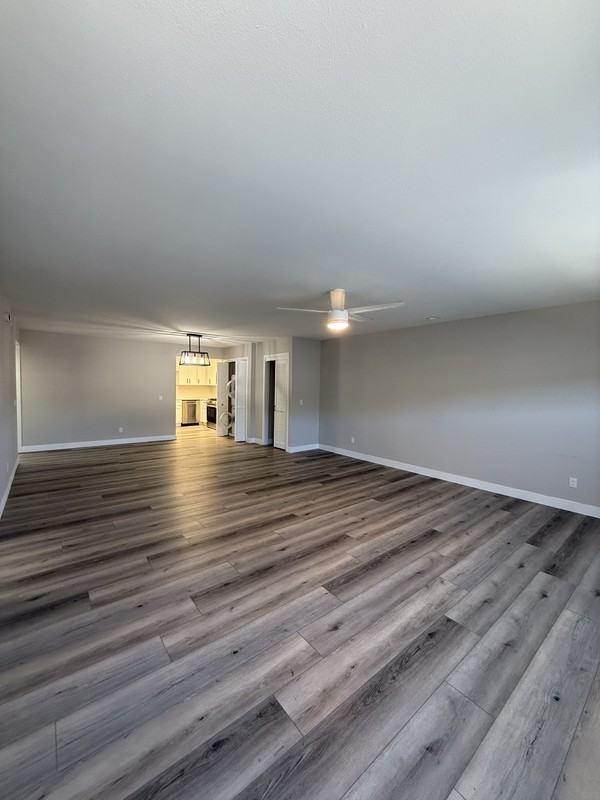 7629 Girard Ave #304 - Photo 3 of 13