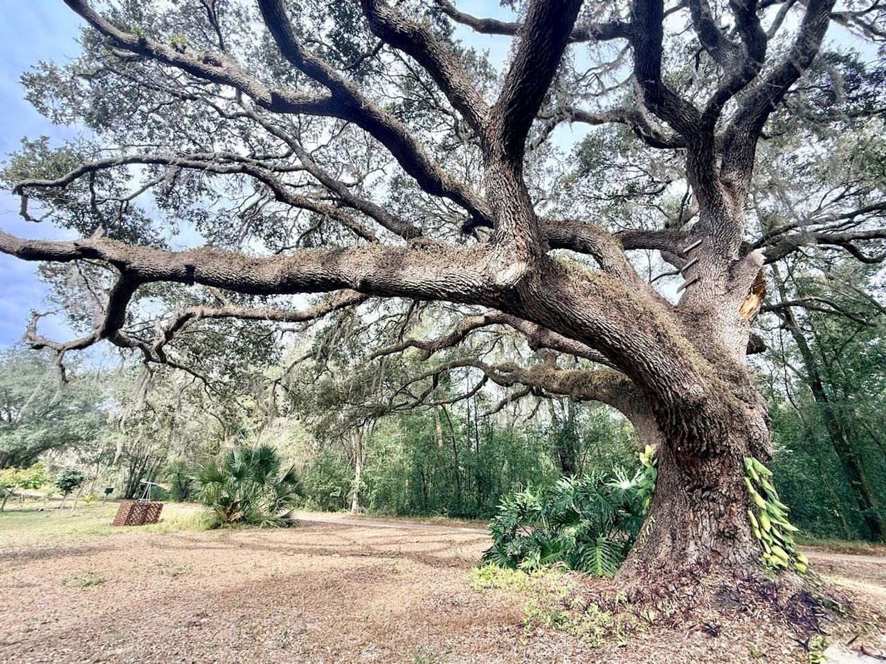 6100 Windmill Rd - Photo 3 of 17