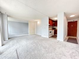 featured image of 710 Lunalilo St #507