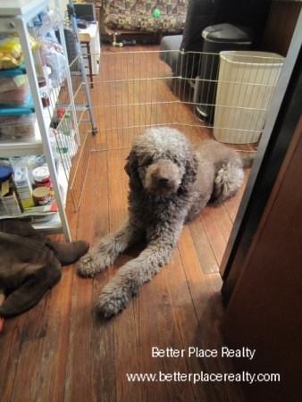 170 Hillside St #3 - Photo 3 of 23