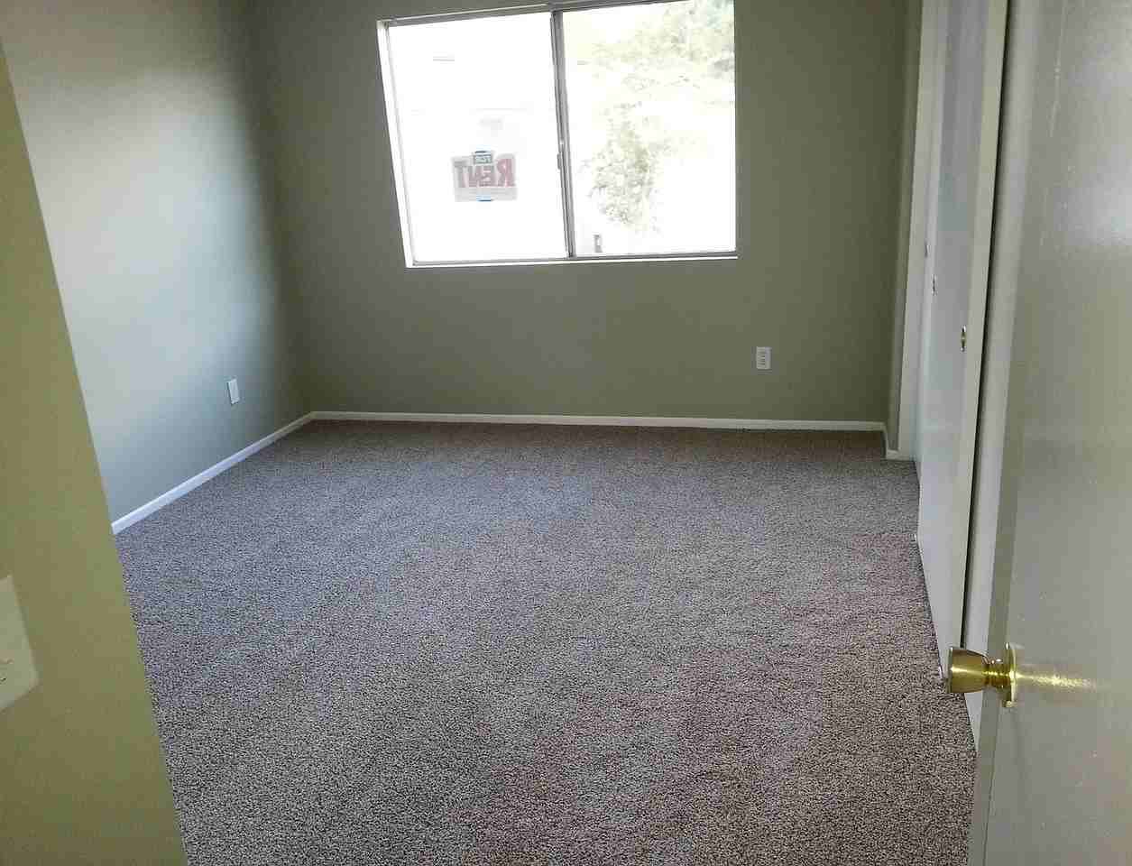 2572 Avenida Del Vis #201 - Photo 7 of 22