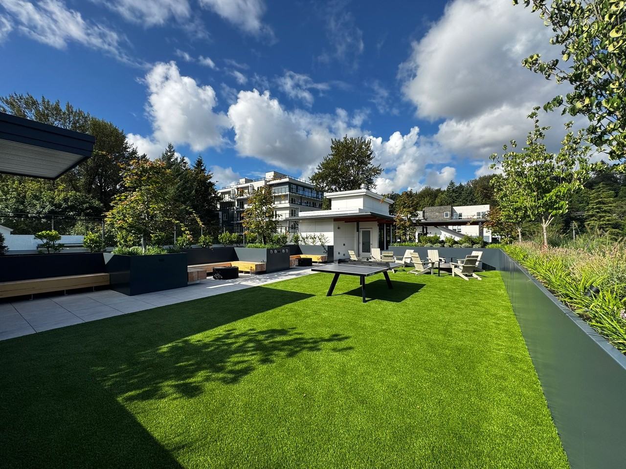 125 Albert Street #207 - Photo 6 of 16