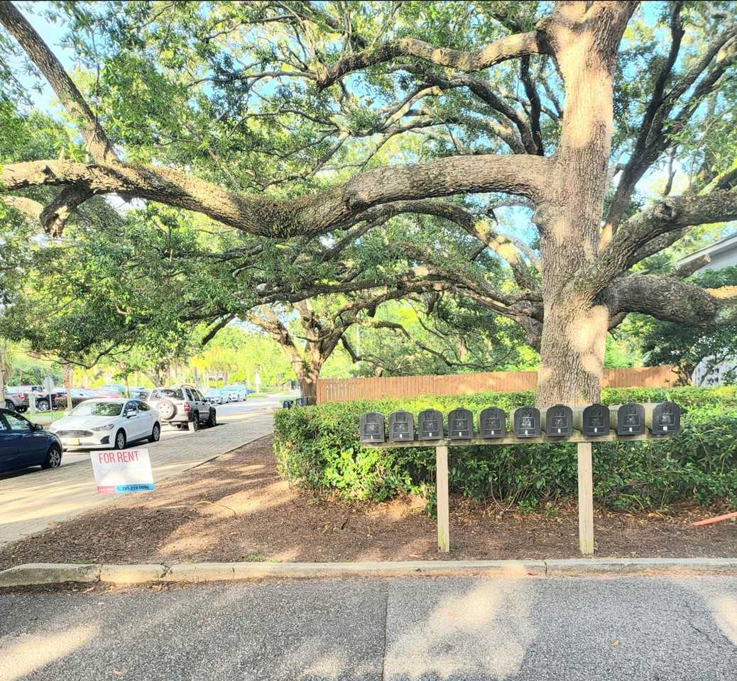 209 E 24th Ave #10 - Photo 6 of 11