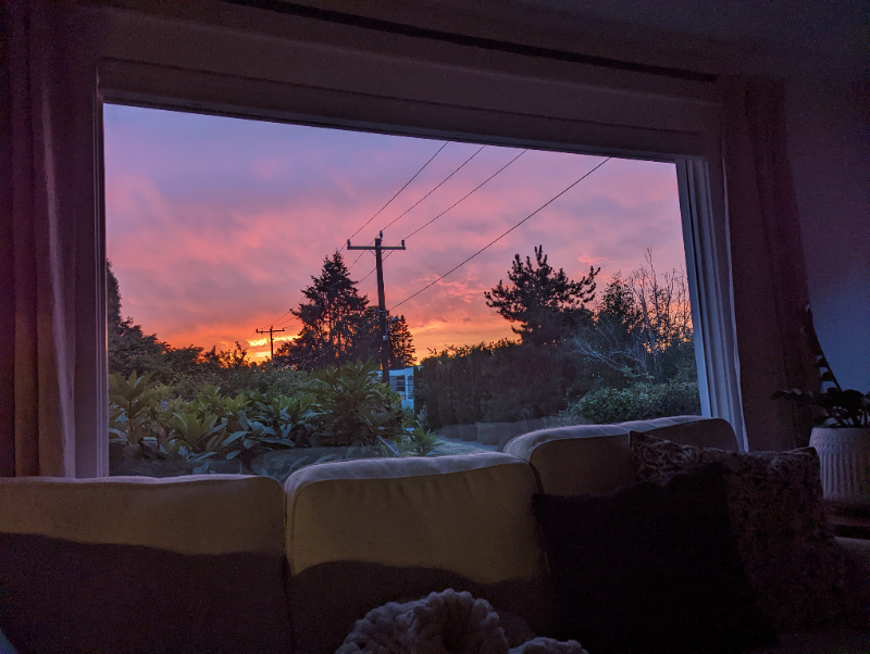 6002 37th Ave Sw - Photo 2 of 20