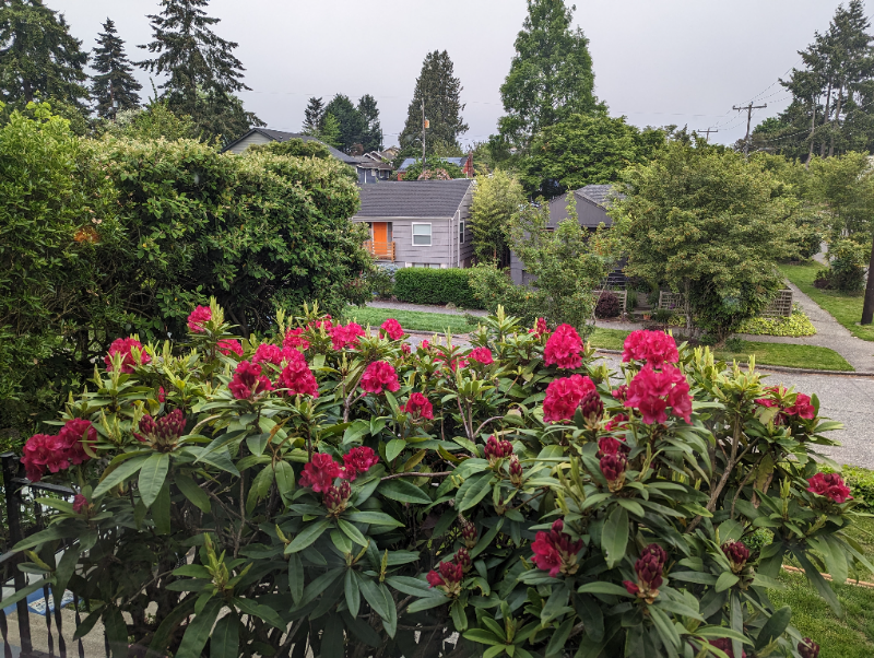 6002 37th Ave Sw - Photo 3 of 20