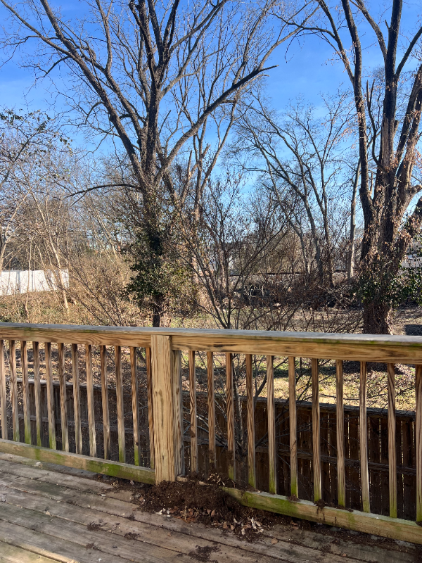 2120 Herman St - Photo 7 of 19