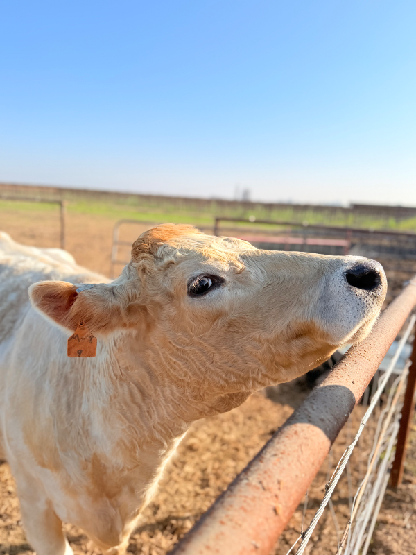 14621 16th Ave - Photo 4 of 20