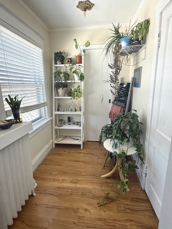 428 N Cuyler Ave #2 - Photo 3 of 15