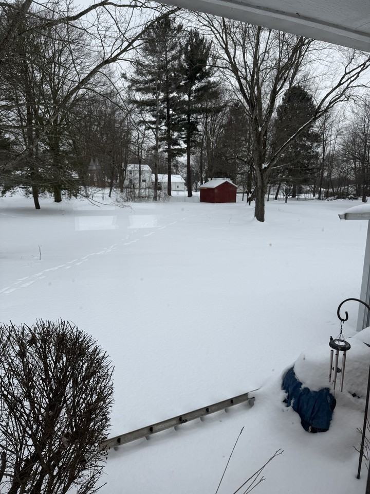 26 E Oakwood Way #NA - Photo 2 of 19