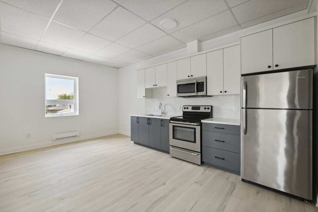 255 Emerick Avenue - Photo 3 of 12