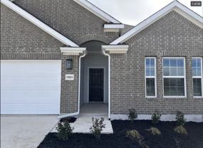 Lustrous Amber Cv #1 - Photo 1 of 1