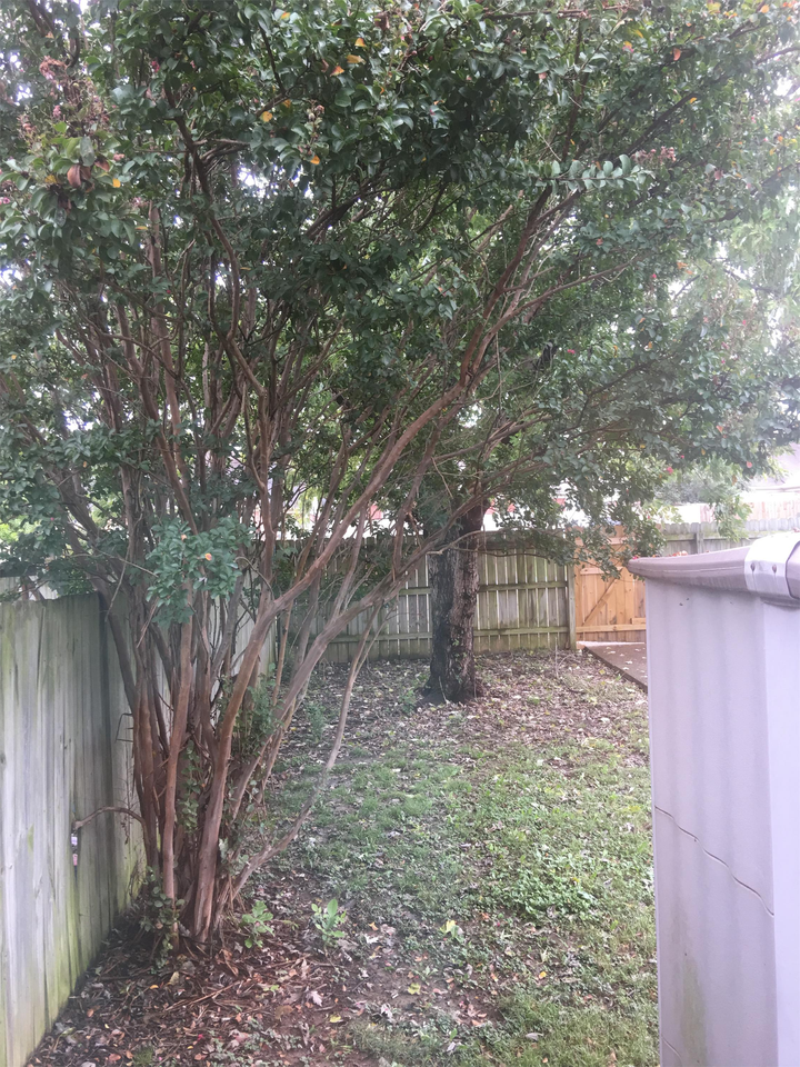 6891 Manslick Rd #1 - Photo 2 of 7