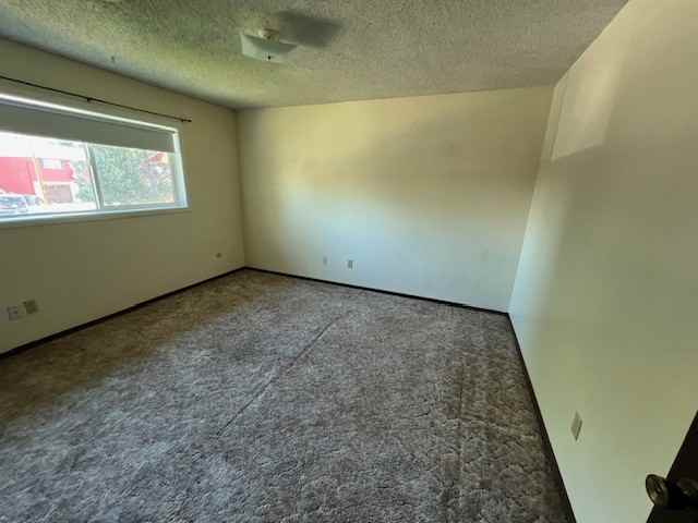 26 Jonquil St #1 - Photo 5 of 10