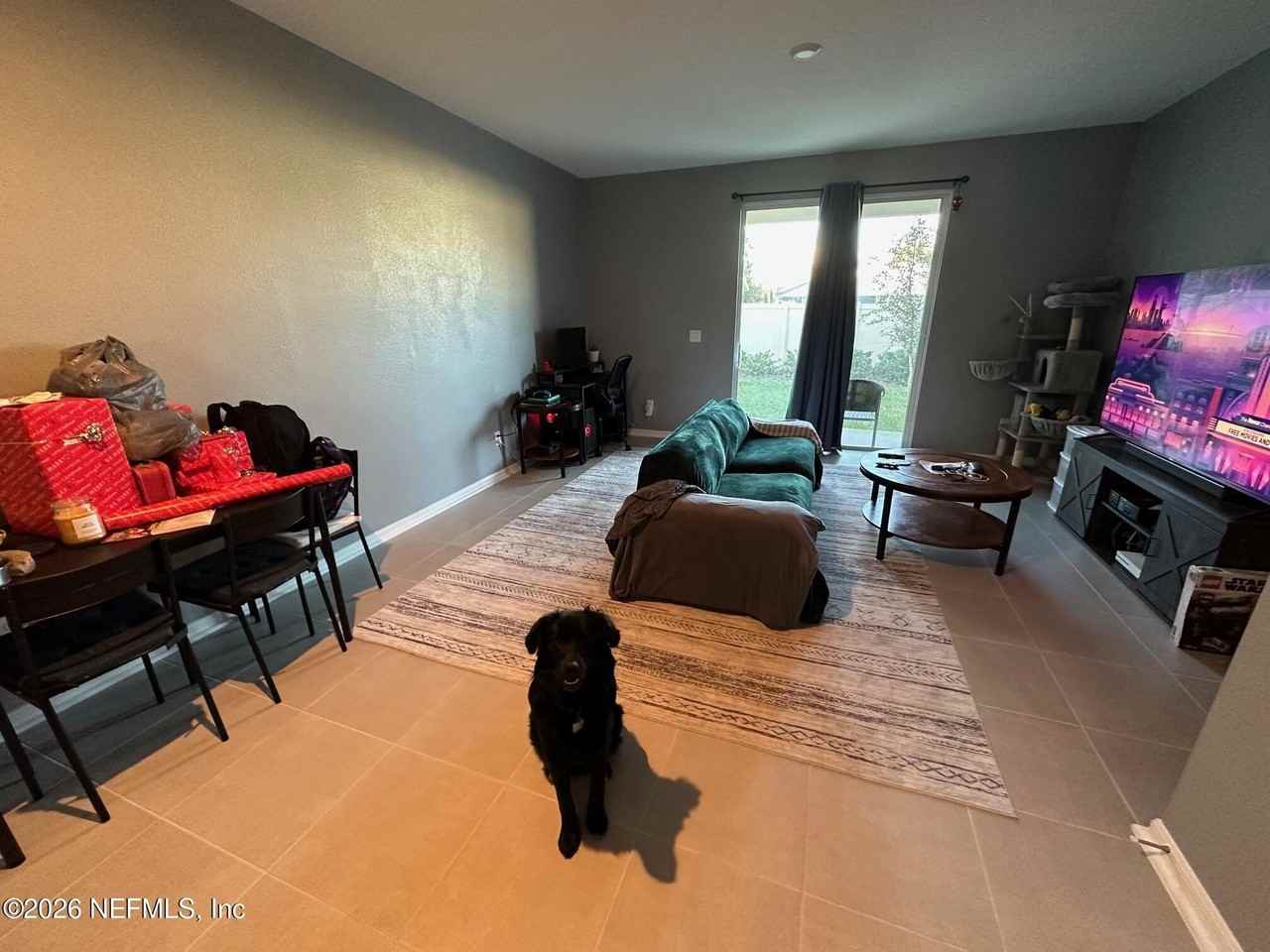 233 Annies Pl - Photo 4 of 23