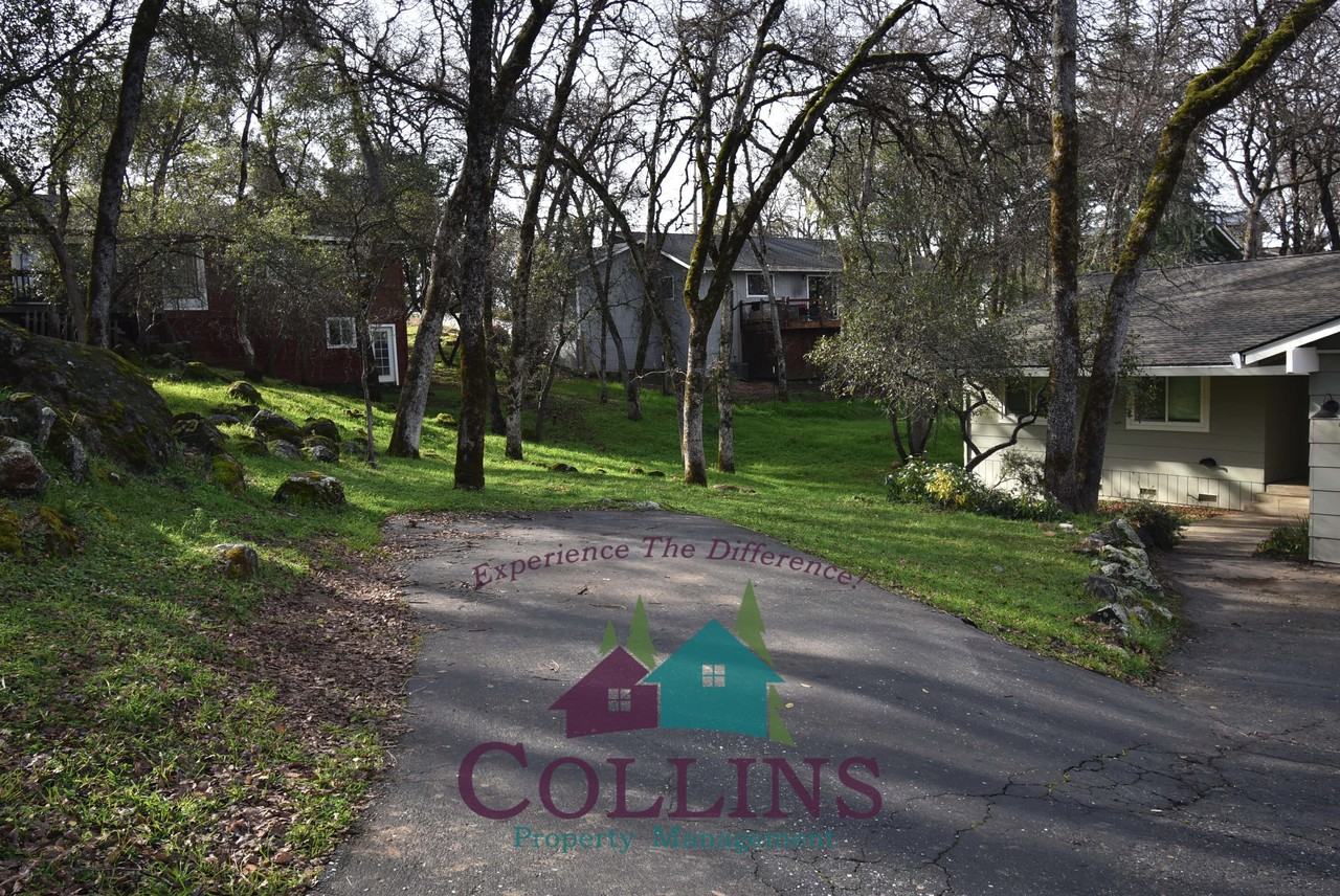 14116 Lodgepole Dr #1 - Photo 4 of 19