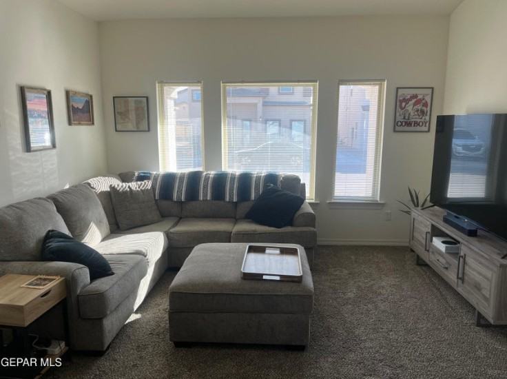 14309 Bill Lazor Parkway14309 Bill Lazor Parkway14309 Bill Lazor Parkway #1 - Photo 6 of 19