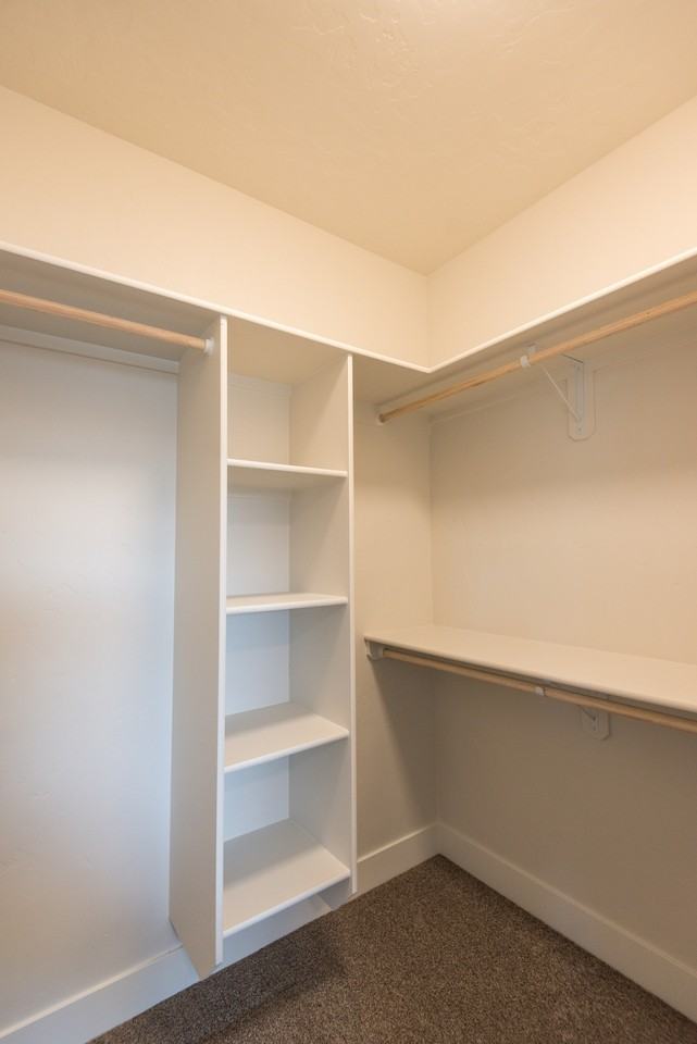 303 Grace Ln #303 - Photo 5 of 26