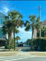 212 11th Avenue South (Costa) - DUnit D #D - Photo 1 of 1