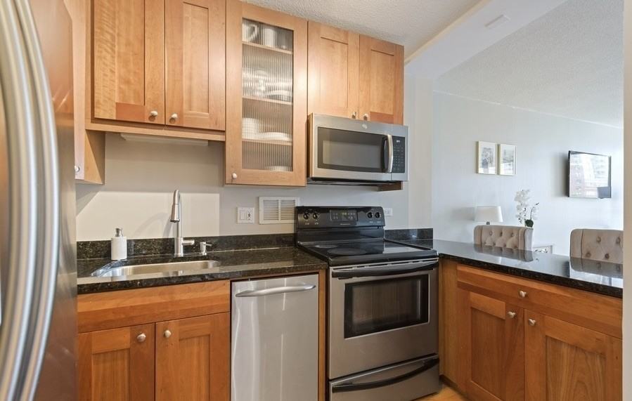 450 W Briar Pl #5E - Photo 3 of 10