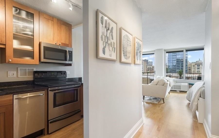 450 W Briar Pl #5E - Photo 5 of 10