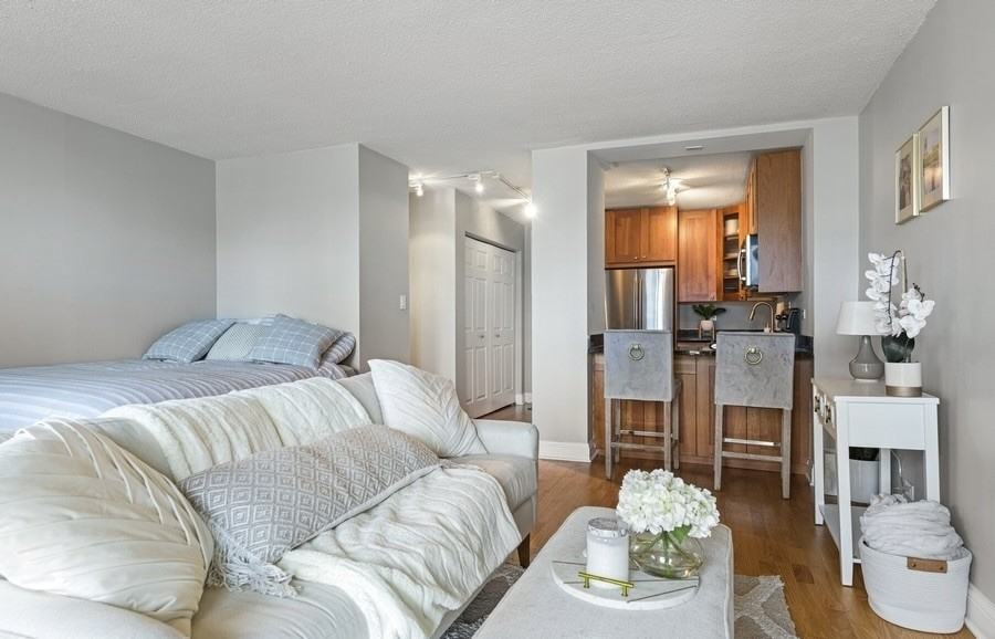 450 W Briar Pl #5E - Photo 6 of 10